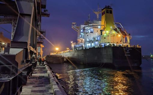 6 судов экспортировали 355 тыс. тонн агропродукции из портов Одесской области