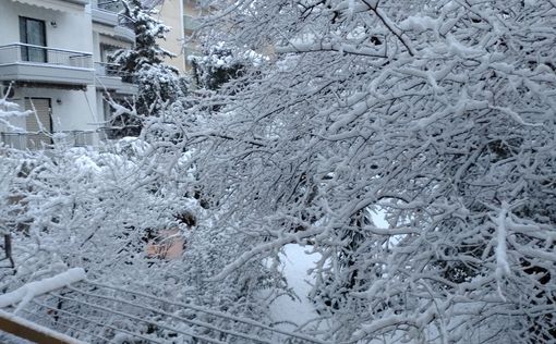 Снежная буря в Афинах: закрыты школы и магазины, движение транспорта остановлено