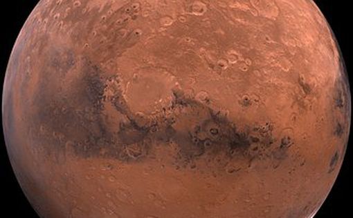 На Марсі виявлено "морські істоти"
