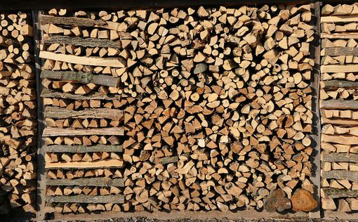 В Украине начали раздавать бесплатные дрова