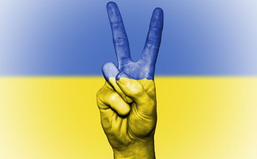 Польша разрешила Украине стрелять по РФ. Позиция США неизменна | Фото: pixabay.com
