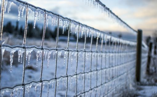 Погода на 17 января: В Украину резко вернулись холода | Фото: pixabay.com