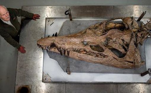 В Англії знайшли гігантський череп пліозавра