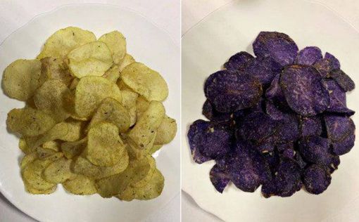 Украинские ученые создали картофель для фиолетовых чипсов