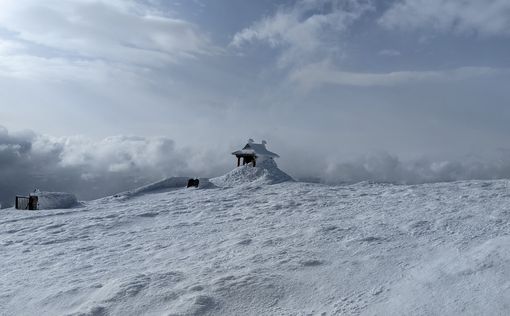 В Карпаты вернулась суровая зима: "минус" 14 и 1,5 метра снега