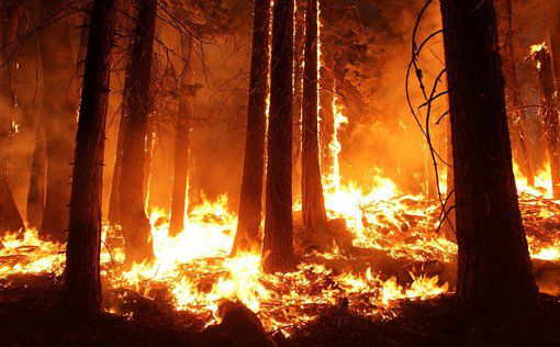 Сильный лесной пожар в Калифорнии влияет на погоду