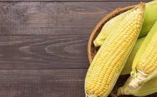 Полезные свойства кукурузы, о которых вы не знали