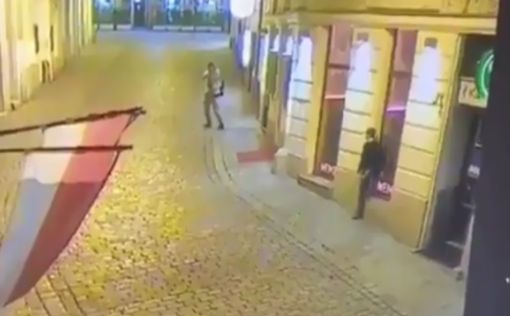 Исполнитель теракта в Вене действовал в одиночку