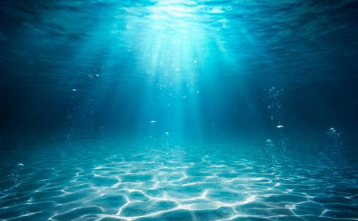 Мировой рекорд: Профессор из Флориды пробыл под водой 74 дня