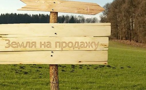У окружения Януковича хотят отобрать 15 и 50 га леса