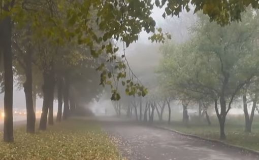 Погода в Украине: туманы и до 18° тепла