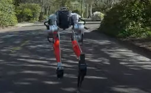 Двуногий робот пробежал 5 км за 53 минуты